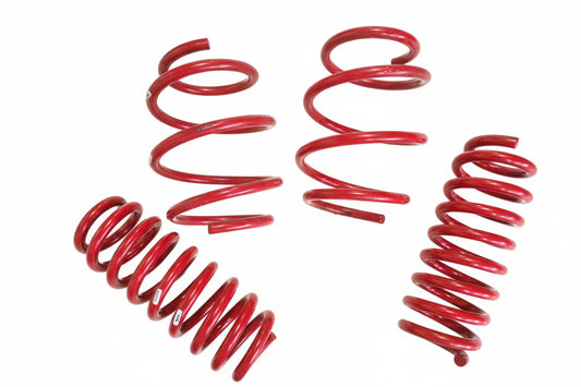BMW F20 40mm Lowering Springs